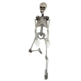 90cm Durable Simulation Humans Skeleton