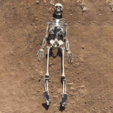 90cm Durable Simulation Humans Skeleton