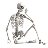 90cm Durable Simulation Humans Skeleton