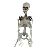 90cm Durable Simulation Humans Skeleton