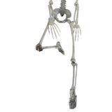 90cm Durable Simulation Humans Skeleton